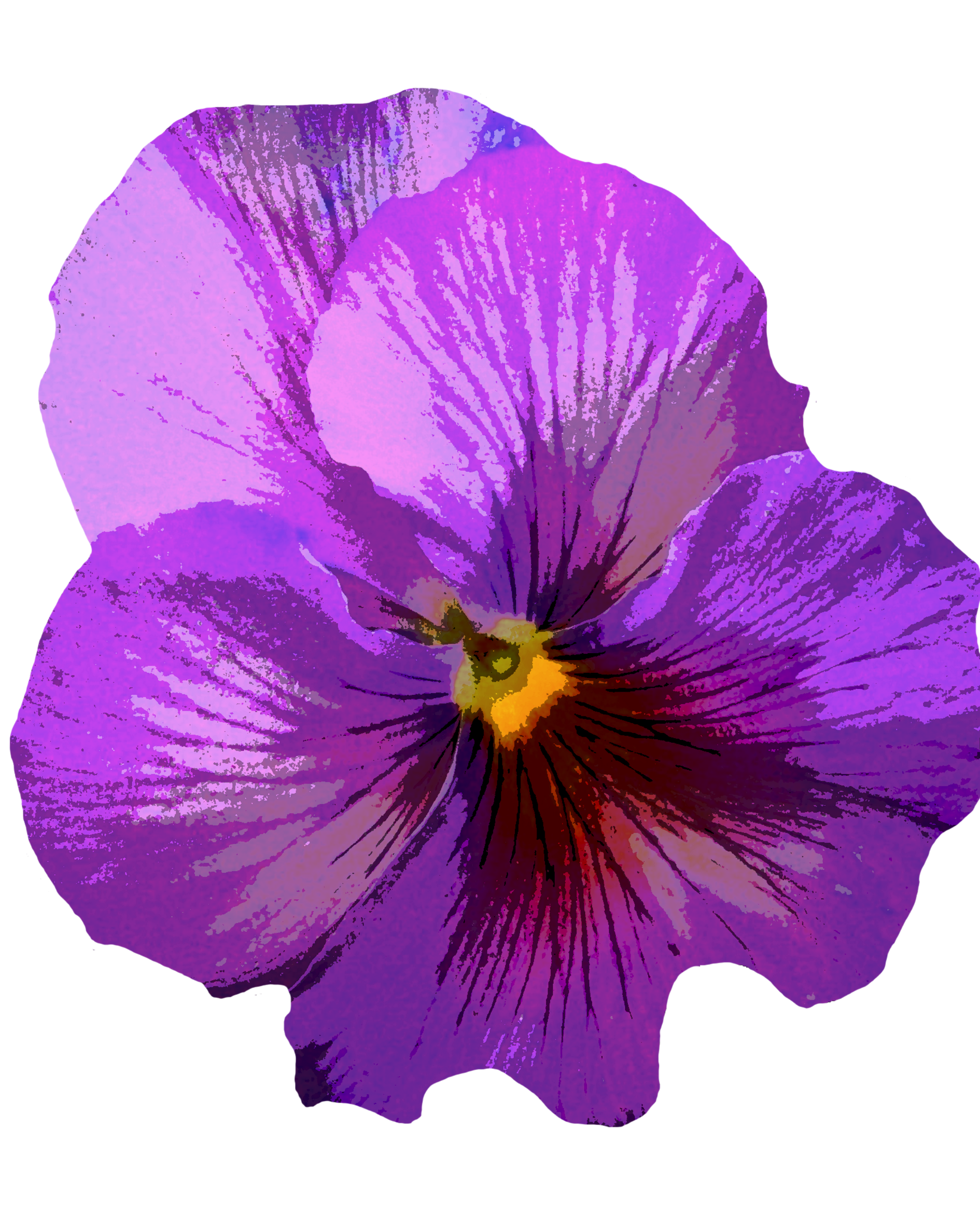 Blooming Botanical Illustration
