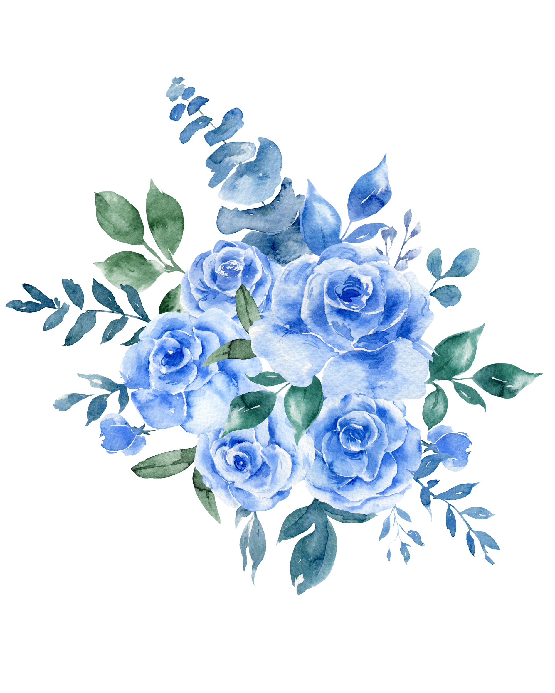 Blooming Botanical Illustration