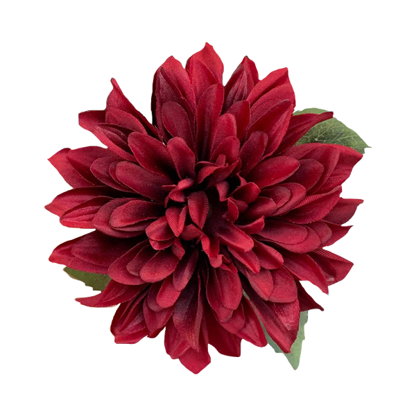 Blooming Botanical Illustration